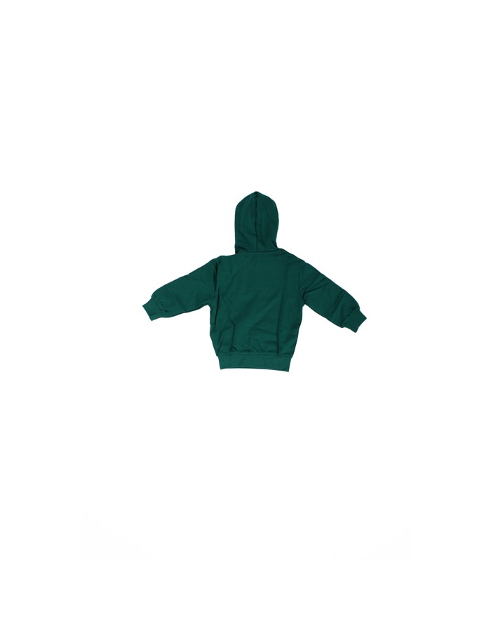 DIESEL Hoodies Green