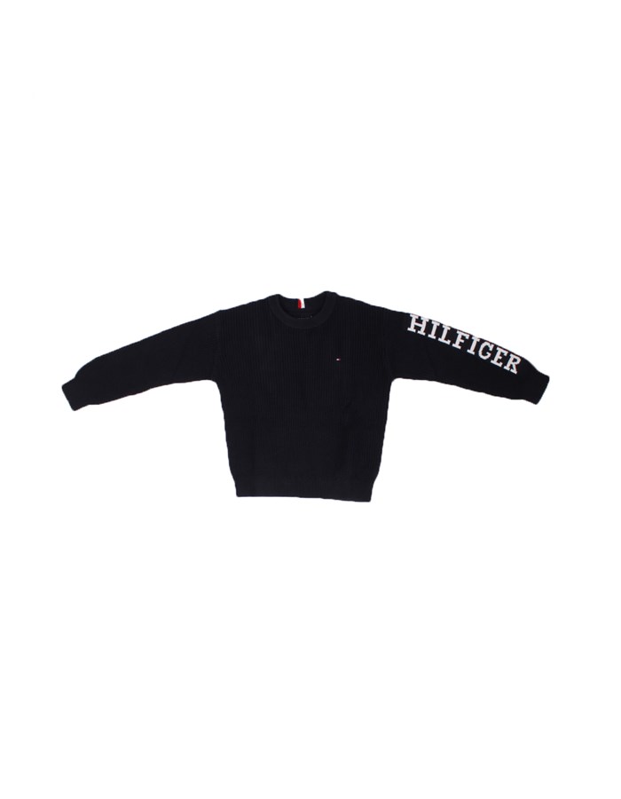 TOMMY HILFIGER Crewneck  Blue