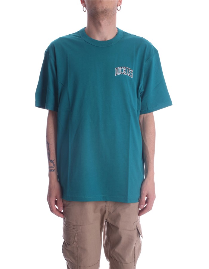 DICKIES Short sleeve Petroleum