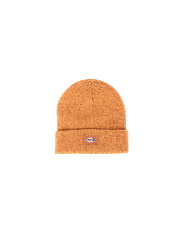 DICKIES Beanie Brown