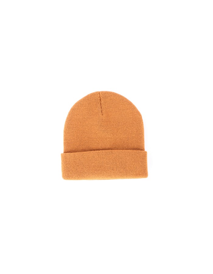 DICKIES Beanie Brown
