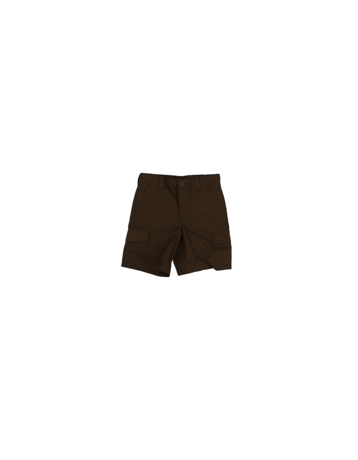 DICKIES bermuda Green
