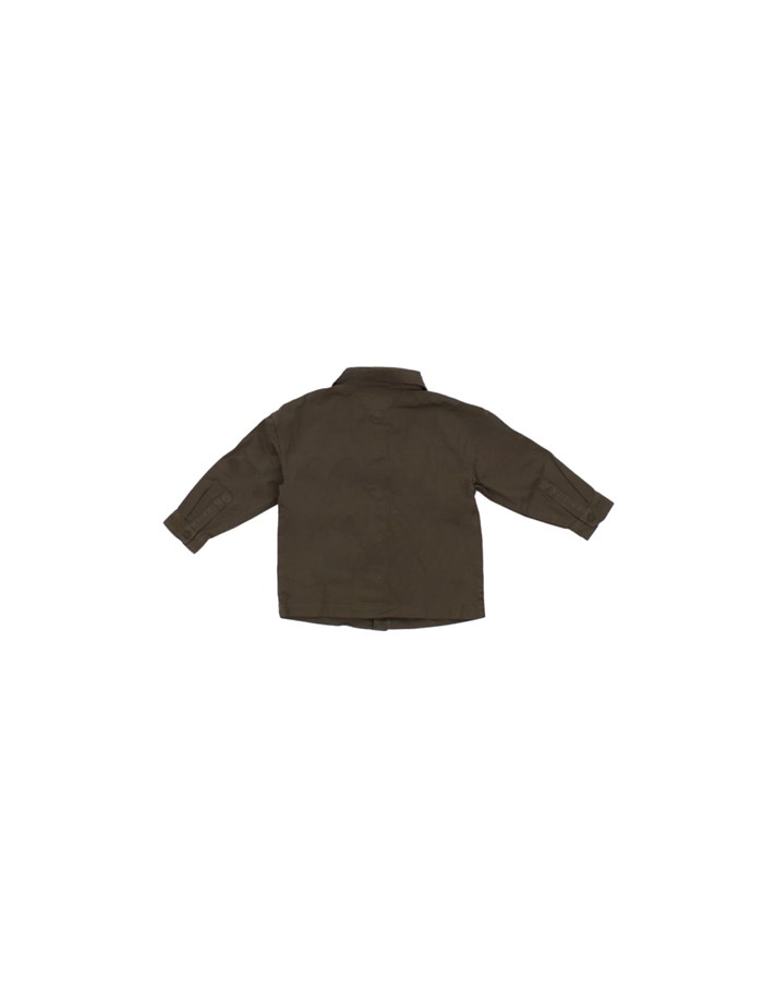TOMMY HILFIGER classic Green