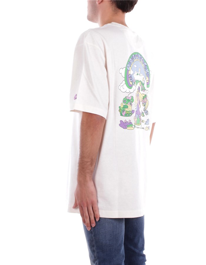 THE NORTH FACE T-shirt Short sleeve Unisex NF0A8C2T 2 
