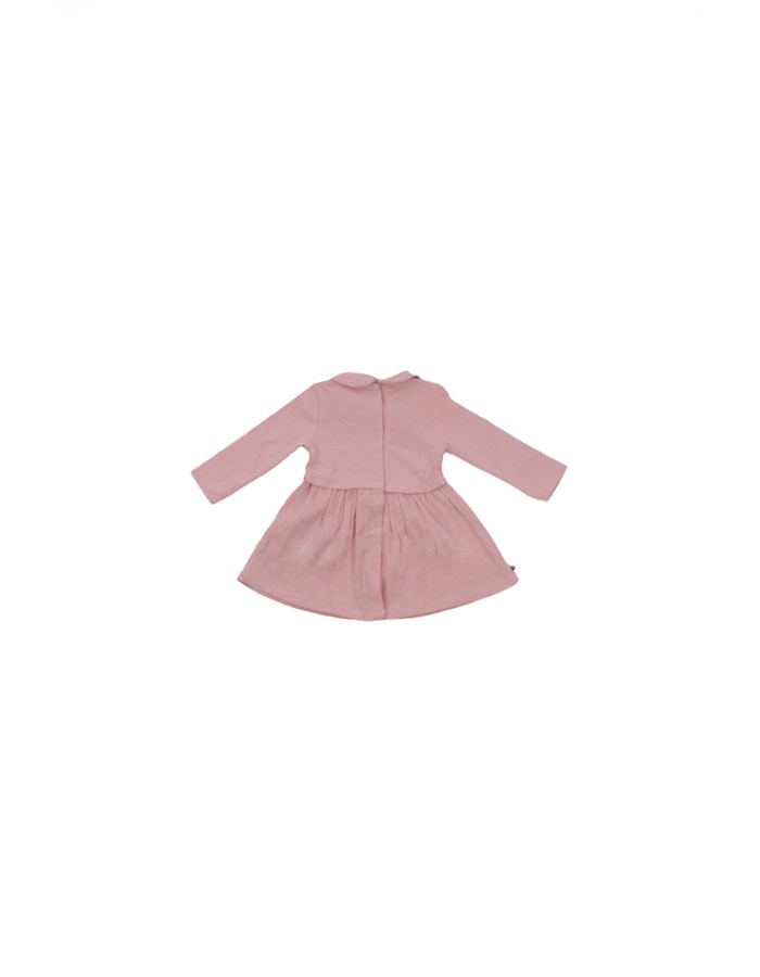 TOMMY HILFIGER Elegant Rose