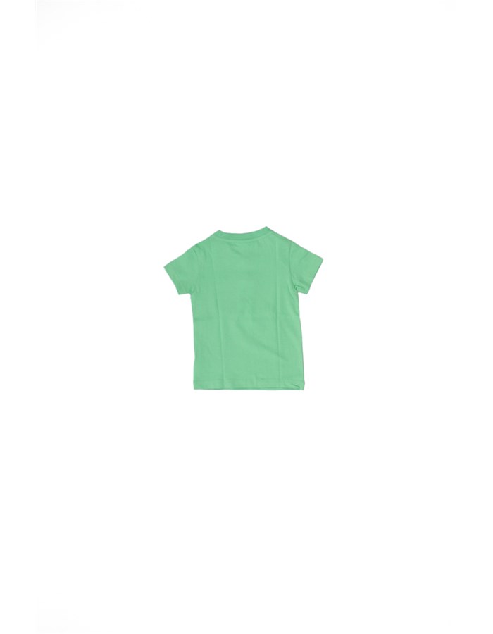 LACOSTE T-shirt Verde