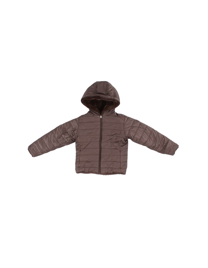 SAVE THE DUCK Giacconi Brown